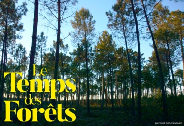 MERCREDI 9 OCTOBRE 2019 à 20 h : Le Temps des forêts, de François-Xavier Drouet